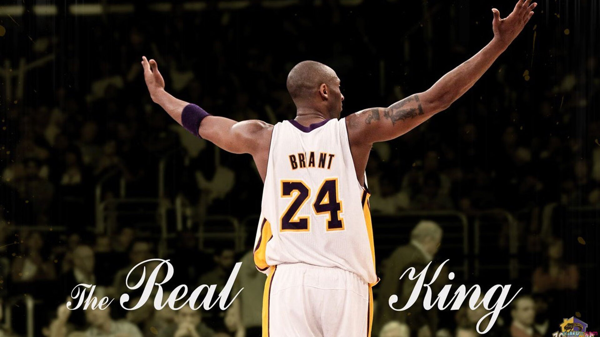 CBA联赛吸引更多年轻球迷参与，跟我说说cba联赛的情况呗